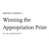 A discussion about Write Magazines article Winning the Appropriation Prize