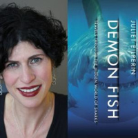 Giant Shark Sanctuary, Fit at 70  Relief From Sleep Apnea