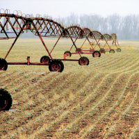 Agriculture as Industry