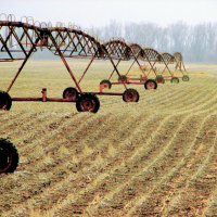 Agriculture as Industry