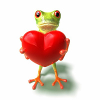 Frog love and the decoy effect