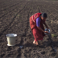 India and Biotechnology