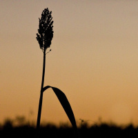 Back to the Beginning