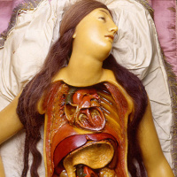 Venus, Deconstructed