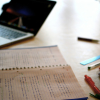 Success, Motivation, and the Brain