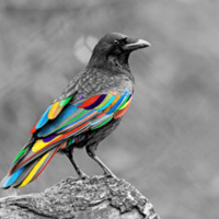 The Upstart Crow: Shakespeares feud with Robert Greene