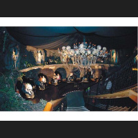 Dark Rides and Haunted Attractions