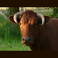 Vedic Astrology â€“ Week of May 13 â€“ Planets Move to Taurus