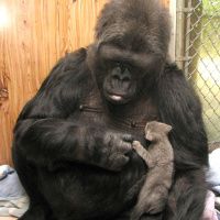 SoT 303: The Elf Who Could Not Love