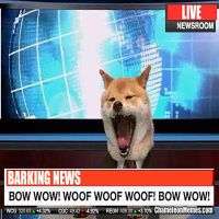 What the Heck is a “Newsfluencer”?