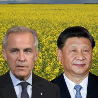 Wait, Were Also in a Trade War with China?