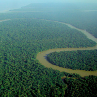 The Canadian Plan to Dig a Goldmine in the Amazon
