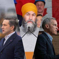 Political Animals in the Wild (a Field Report from Ottawa)