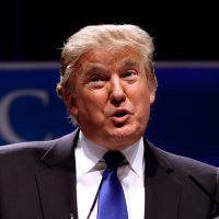 The Master Plan of Mad King Donny