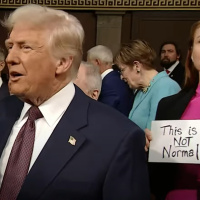 How to Win The Dumb Trade War