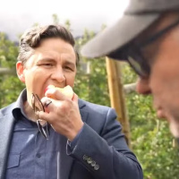 How Does Pierre Like These Apples?