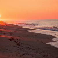 Out Spoken in the PC(USA)