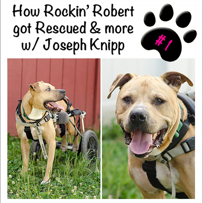 My Rescue Rocks With Rebekah Nemethy