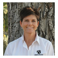 JumpStart Your Business NOW! with Katrina Sawa