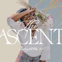 Formed in the Potters hand