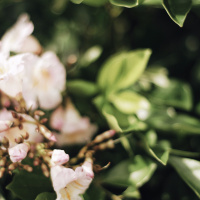 Mercies of God 2019.04.07