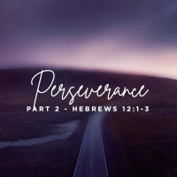 Perseverance (Part 2) 2020.08.09