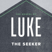 Luke: The Seeker 2020.11.08