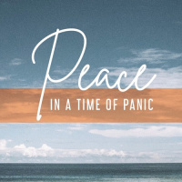 Peace in a Time of Panic #2 2020.03.29