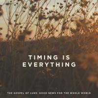 Timing is Everything 2019.06.16
