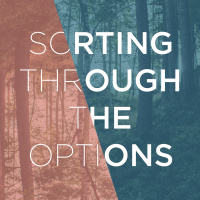 Sorting Through The Options 2017.10.29