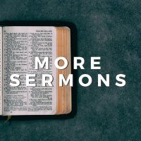 New Years Eve Homily 2023