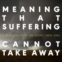 Meaning That Suffering Cannot Take Away