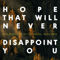 Hope That Will Not Disappoint You