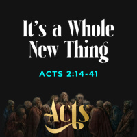 Its A Whole New Thing