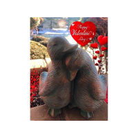 Celebrating LOVE Happy Valentines Day