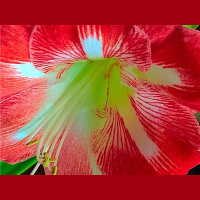 Happy Mother’s Day Special