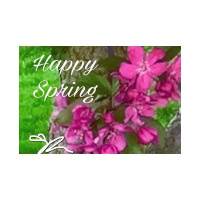 SPRING into ACTION for SUCCESS with Coach Rea