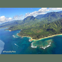 Insights and the True Nature of Things