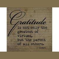 What are you grateful for?