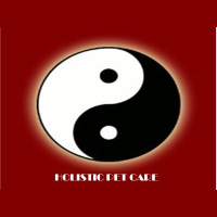 Happiness, Self-confidence our pets with guest Dr. Buchoff