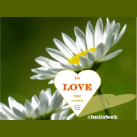 Exercise Your POWER to CHOOSE “VOTE”