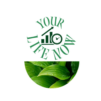 Your Life Now Show With Coach Rea Wilke