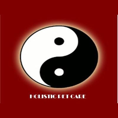 Your Life Now Show With Coach Rea Wilke