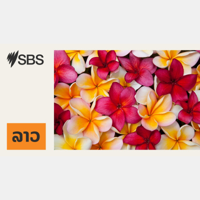 Sbs Lao - Sbs