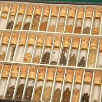 Saving Seeds During the Siege of Leningrad