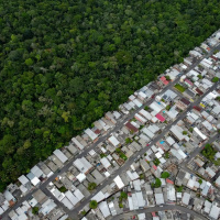 Green Cities in the USSR and Brazil