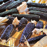 Ukraine in the Global Food System