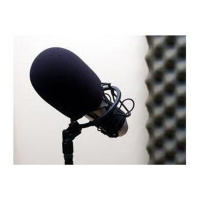 A Call to Action: Get Involved Now