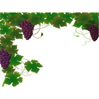 Local Citizens in Florida Threatened by NA  AA members 