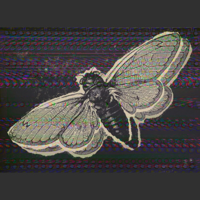 New Books In Intellectual History